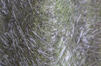 Rhiwinder fibreglass roof work